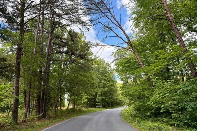 Salem Rd, Schuyler, VA 22969 #1