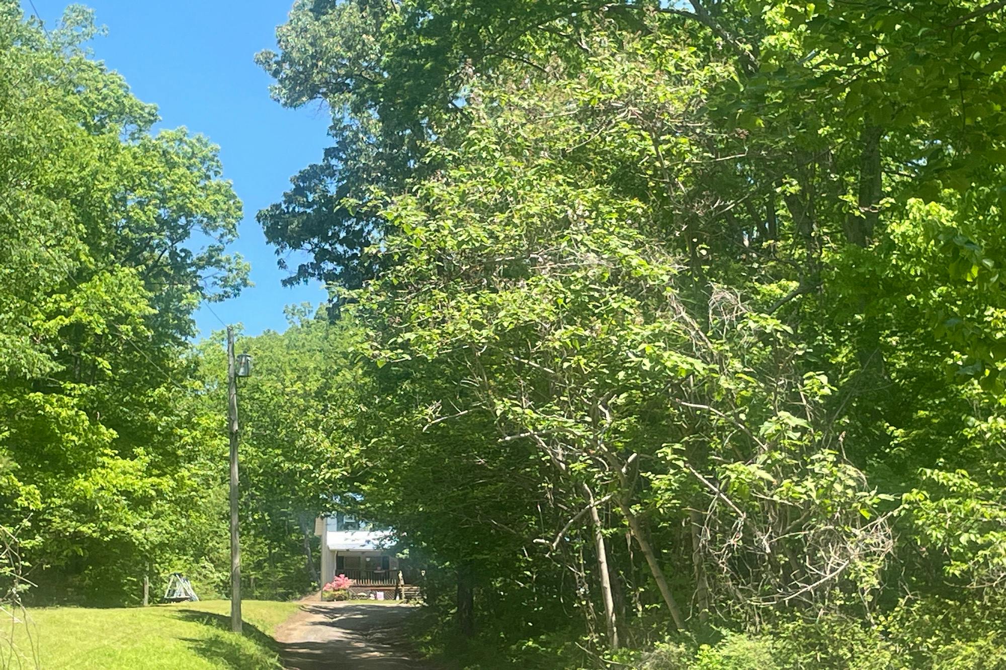 Scandlyn Hollow Rd, Oliver Springs, TN 37840 #1