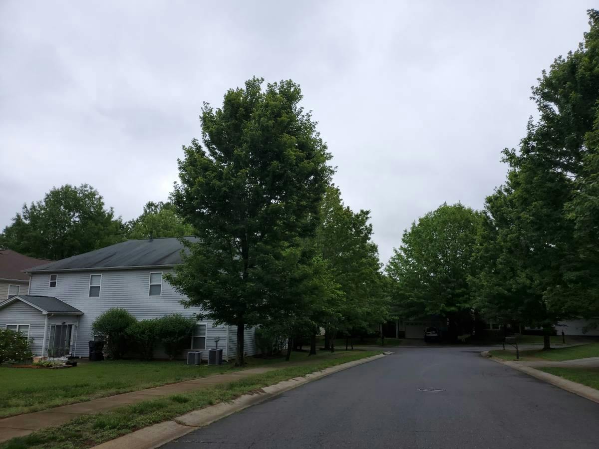 Rousay Rd, Charlotte, NC 28278