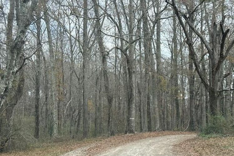 100 Whitley Rd Lagrange, GA 30240, Troup County