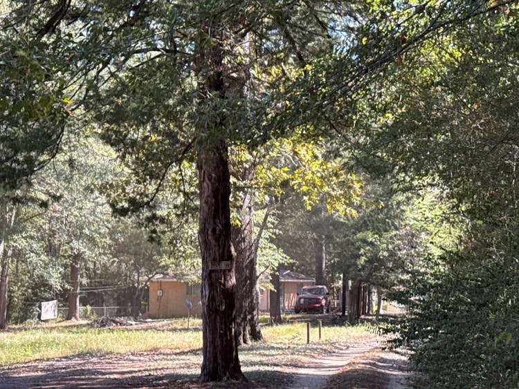 161 Simpson Ln Logansport, LA 71049, De Soto County