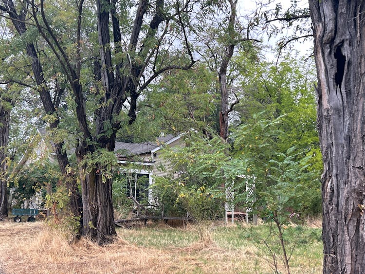 8650 Muletown Road Redding, CA 96001, Shasta County