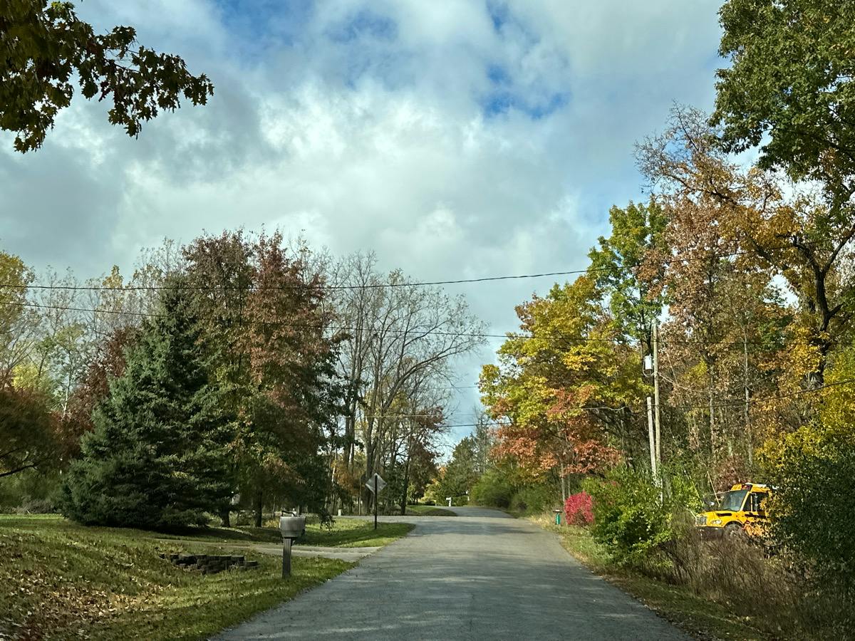 Dorchester Dr, Cement City, MI 49233