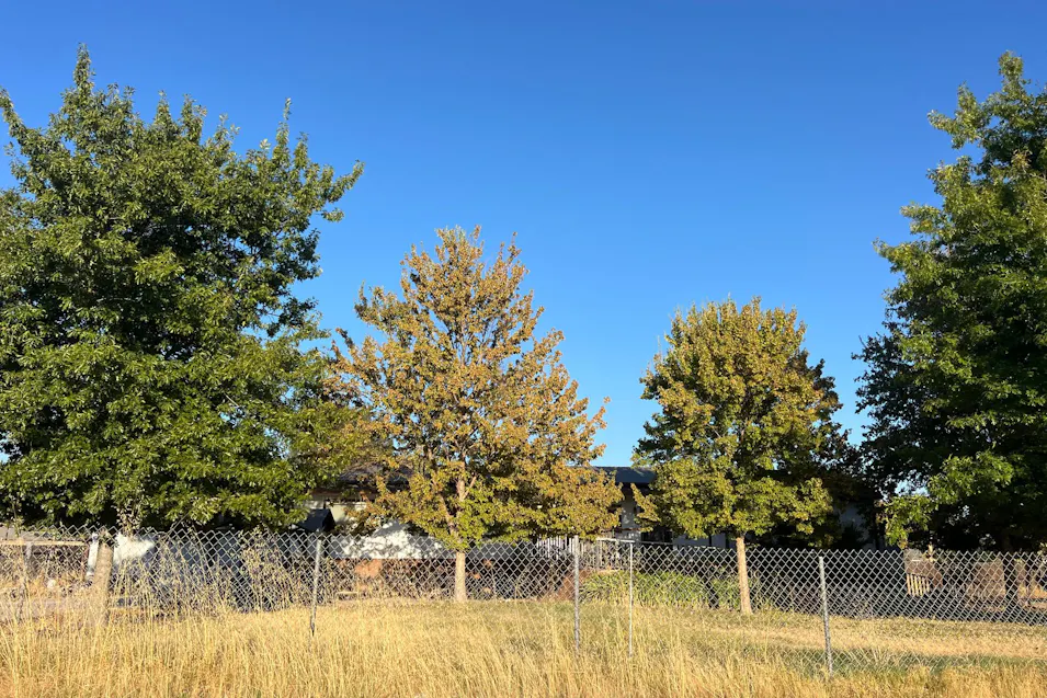 653 Main Ave Sacramento, CA 95838, Sacramento County
