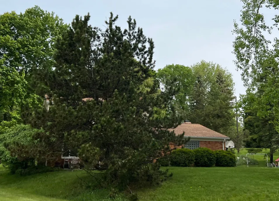 2372 Arizona Ct Rochester Hills, MI 48309, Oakland County