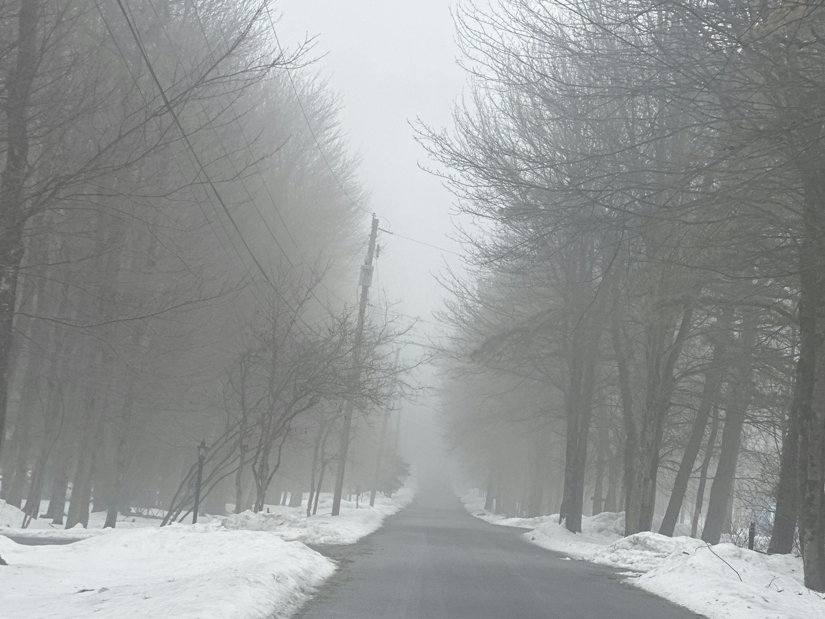 Johnson Ln, Albrightsville, PA 18210