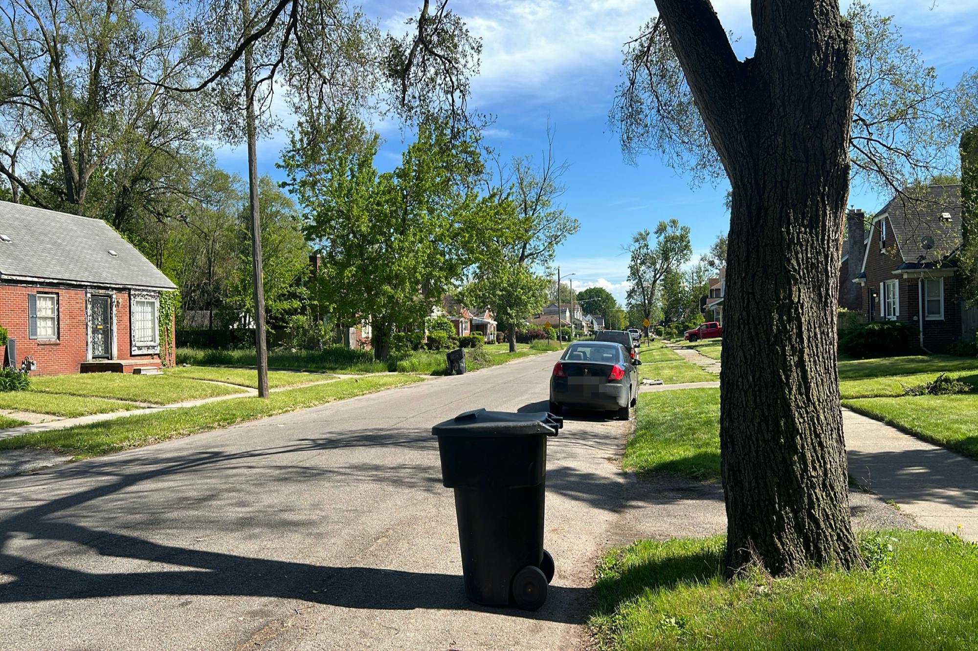Revere St, Detroit, MI 48234