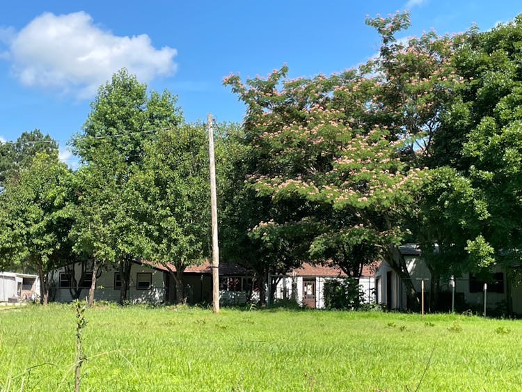 1816 Greene 724 Rd Paragould, AR 72450, Clay County