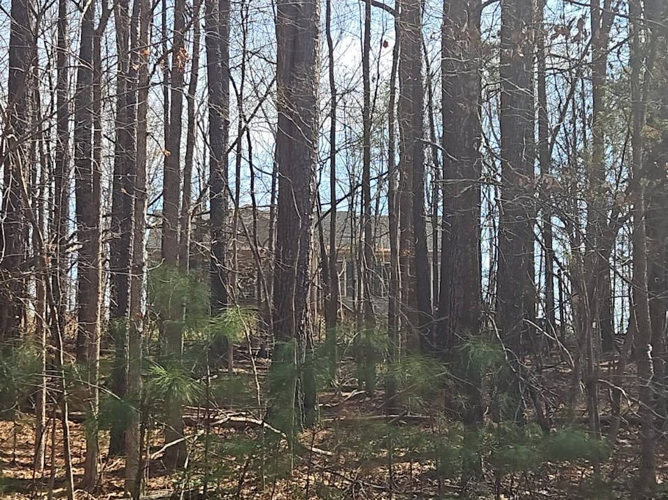 5329 Little Joe Drive Powhatan, VA 23139, Powhatan County