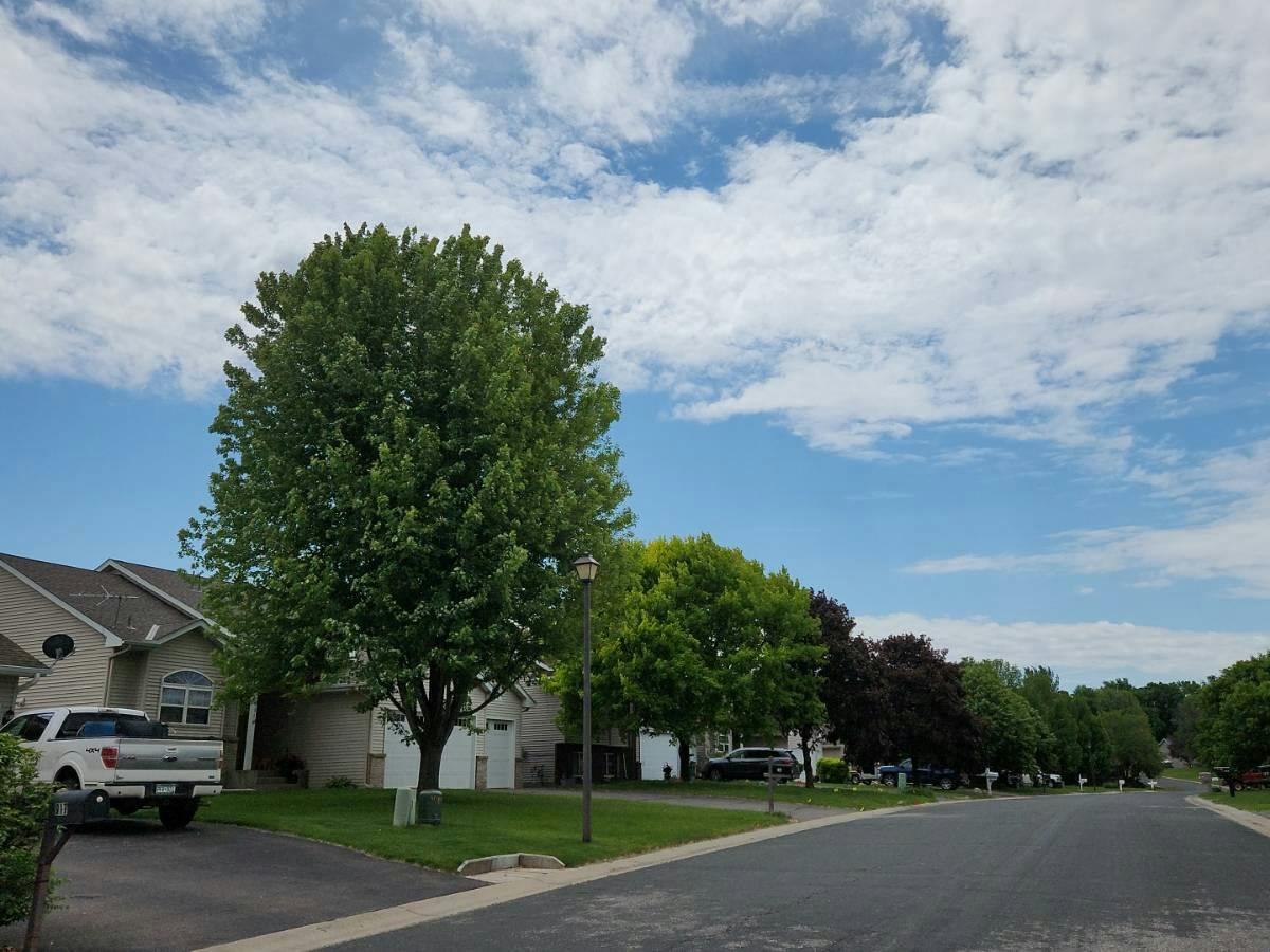Walnut St, Belle Plaine, MN 56011