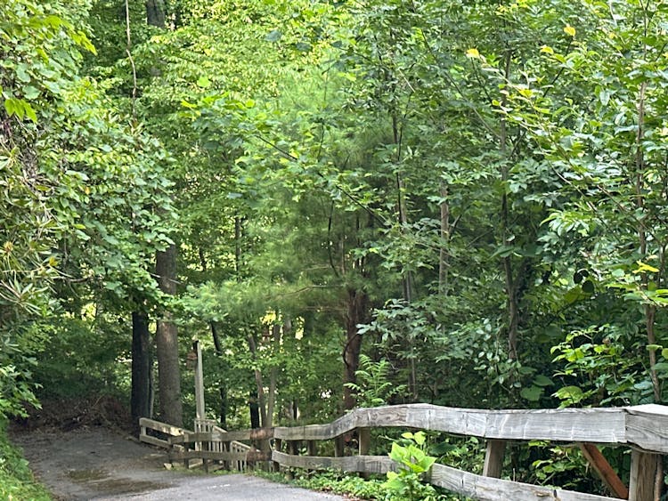 179 Shiloh Rd Butler, TN 37640, Carter County