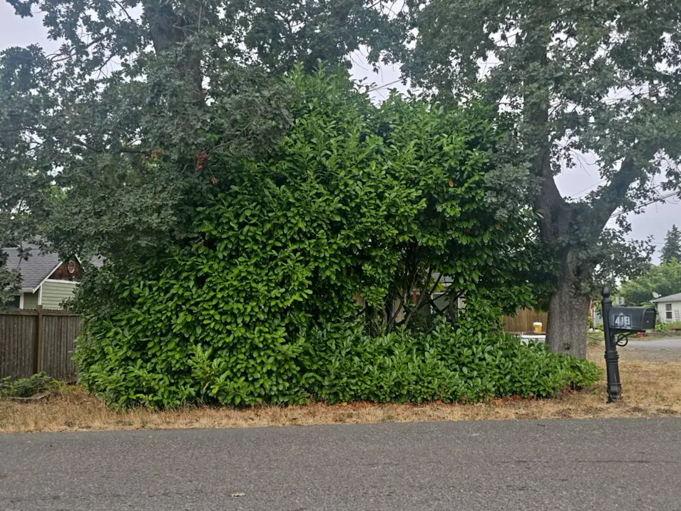 419 South St Port Orchard, WA 98366, Kitsap County