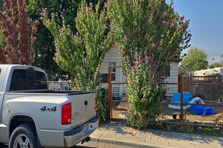 438 11th Street Clarkston, WA 99403, Asotin County