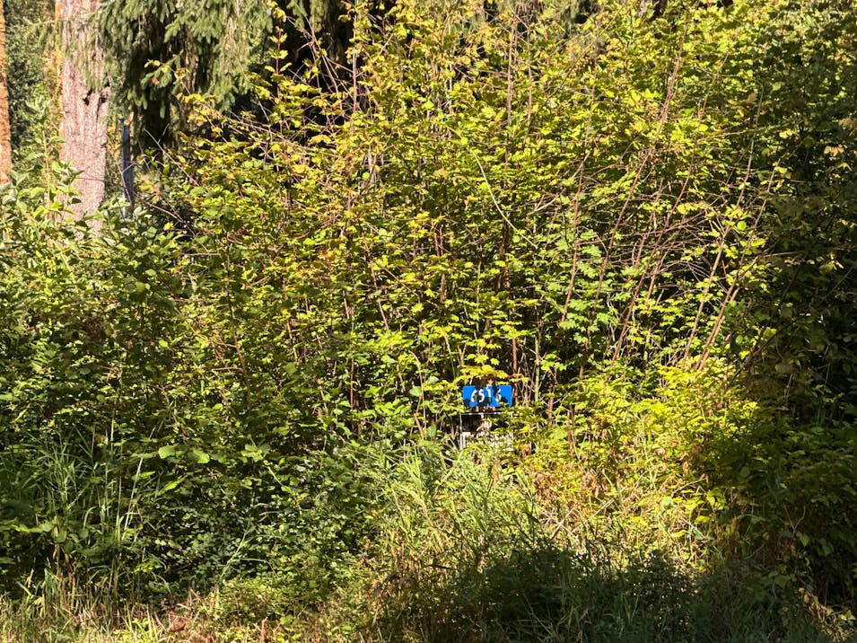 6516 Skinner Rd Granite Falls, WA 98252, Snohomish County