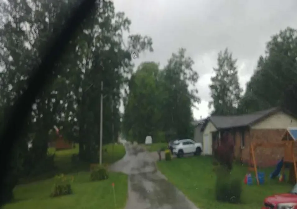 81 Newtown Rd Stearns, KY 42647, McCreary County