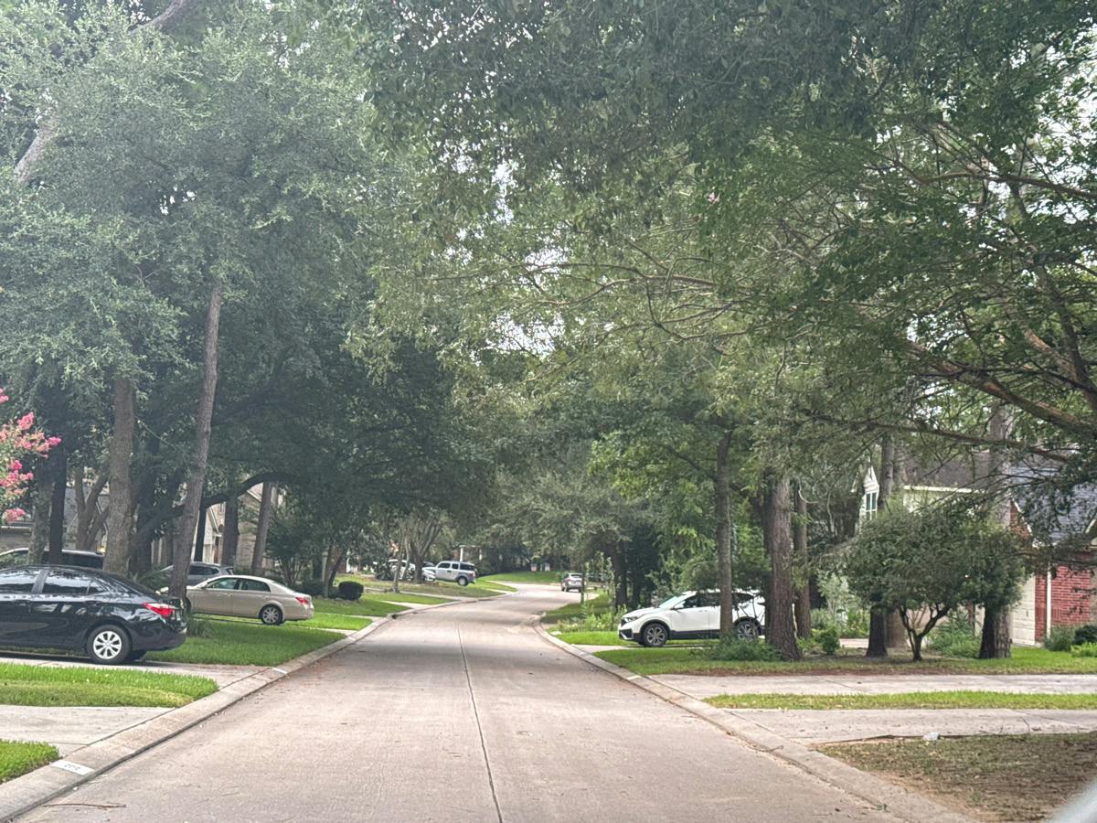 Rambling Ridge Pl, Conroe, TX 77385