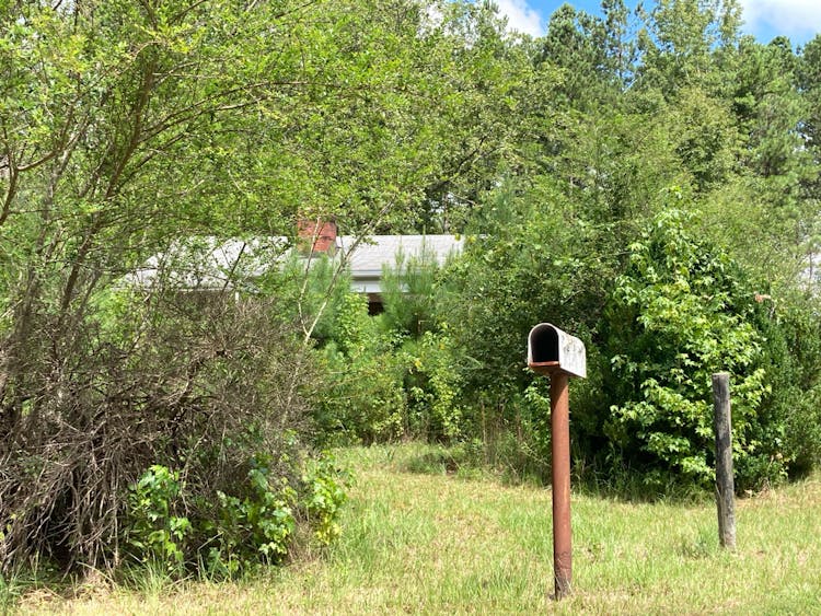 101 Hugh Oneal Rd Greenville, GA 30222, Meriwether County