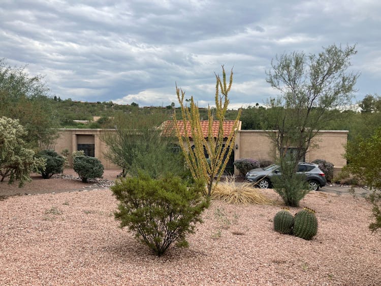 5340 N Apache Hills Trail Tucson, AZ 85750, Pima County