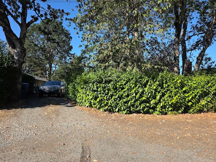 869 121st St S Tacoma, WA 98444, Pierce County