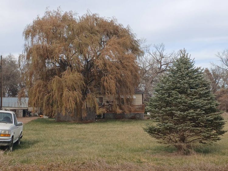 45178 309th St Gayville, SD 57031, Yankton County