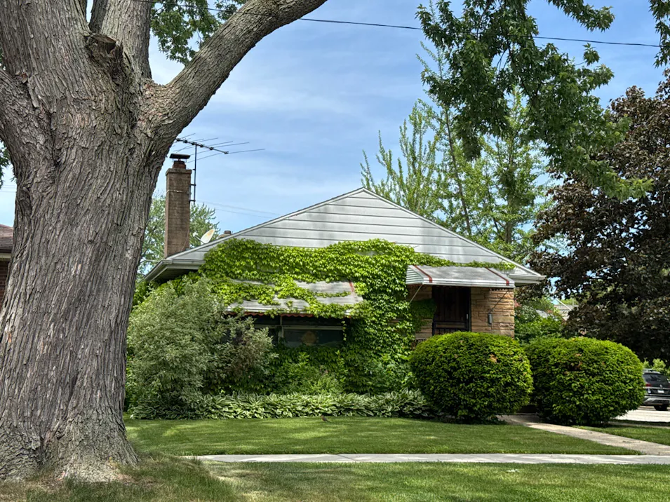 6258 N Legett Chicago, IL 60646, Cook County