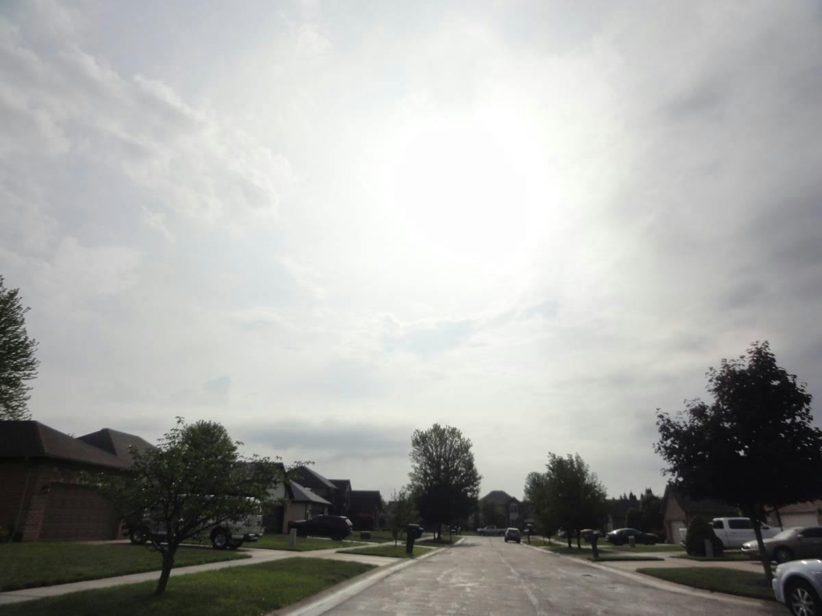 Silver Maple Dr, Macomb, MI 48044