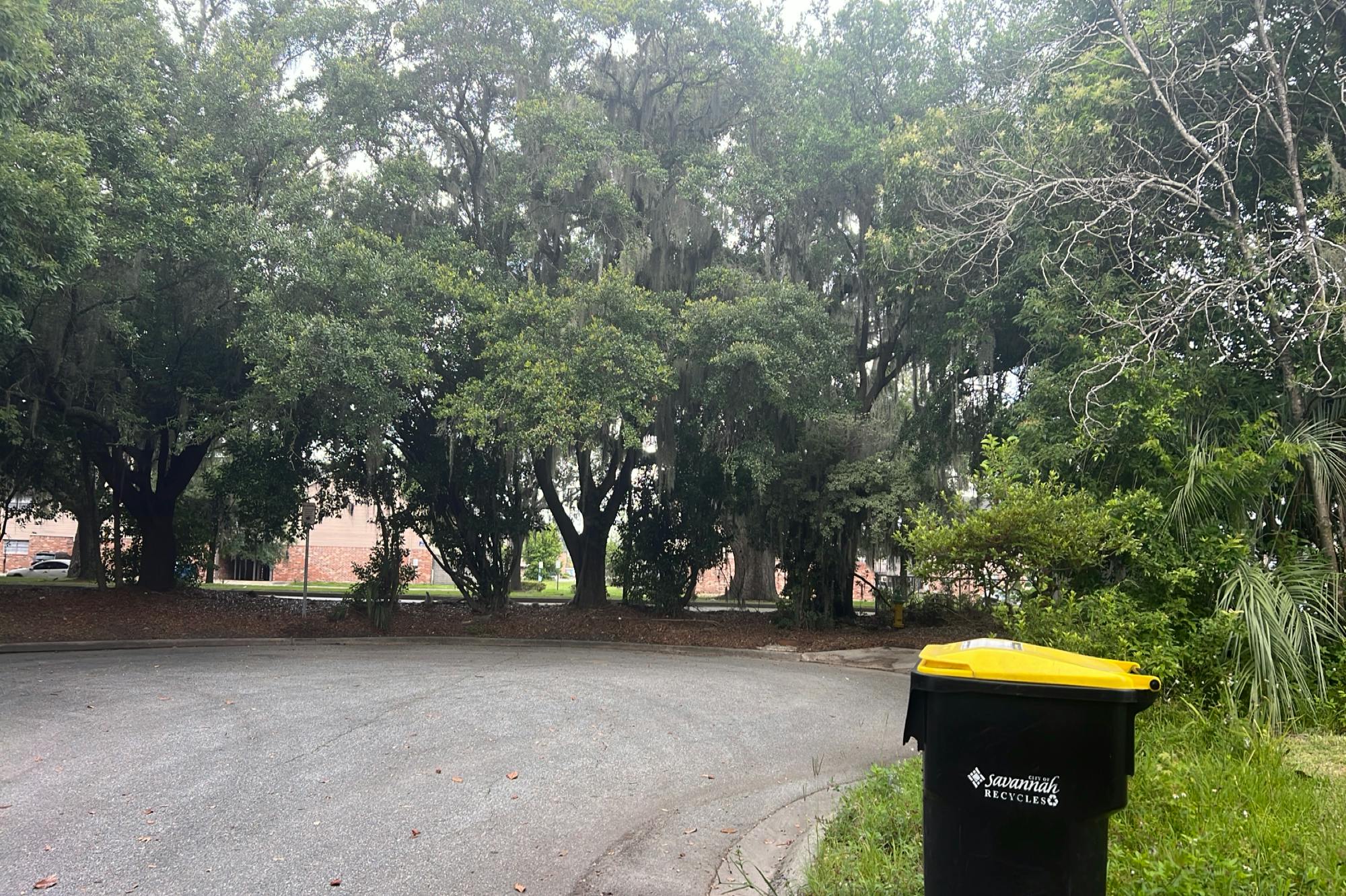 Dyches Dr, Savannah, GA 31406