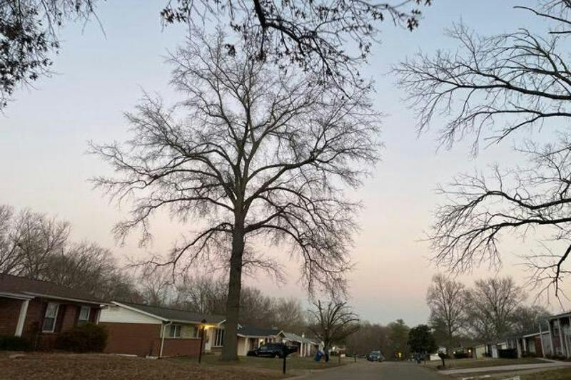 Miremont Dr, Manchester, MO 63011