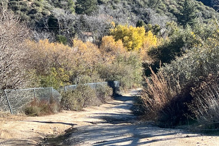 43160 Lake Hughes Rd Lake Hughes, CA 93532, Los Angeles County