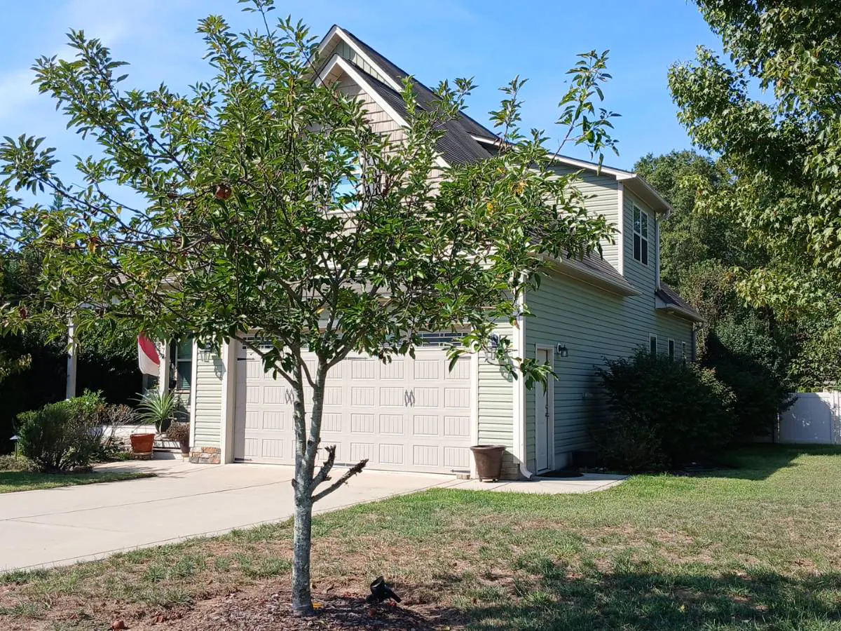Cotton Mill Dr, Zebulon, NC 27597 #1