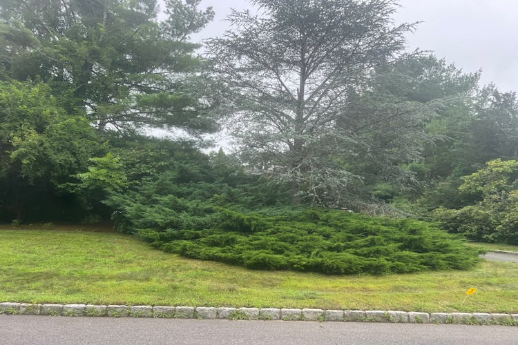 24 Wisteria Drive Remsenburg, NY 11960, Suffolk County