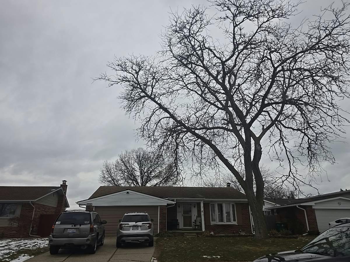 Indiana Ave, Brownstown Twp, MI 48183
