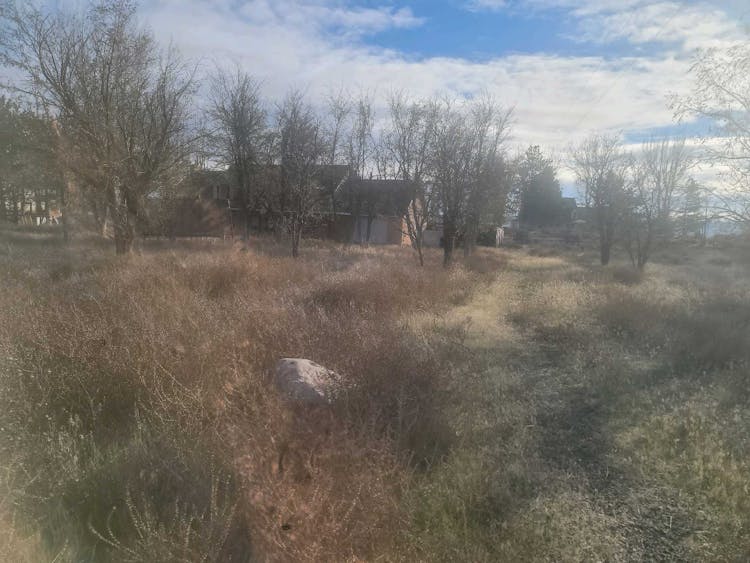 58211 E Christy Rd Plymouth, WA 99346, Benton County