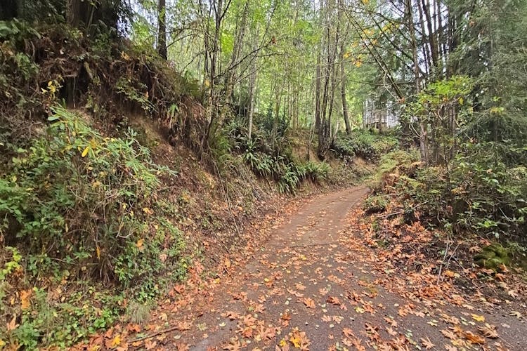 9008 Dana Dr NW Gig Harbor, WA 98332, Pierce County