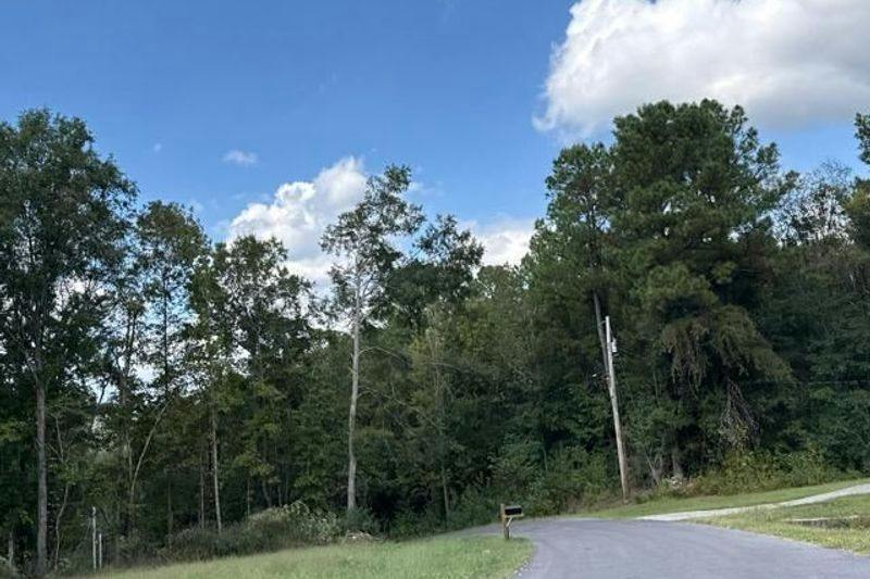 Dewanna Ln, Bessemer, AL 35022