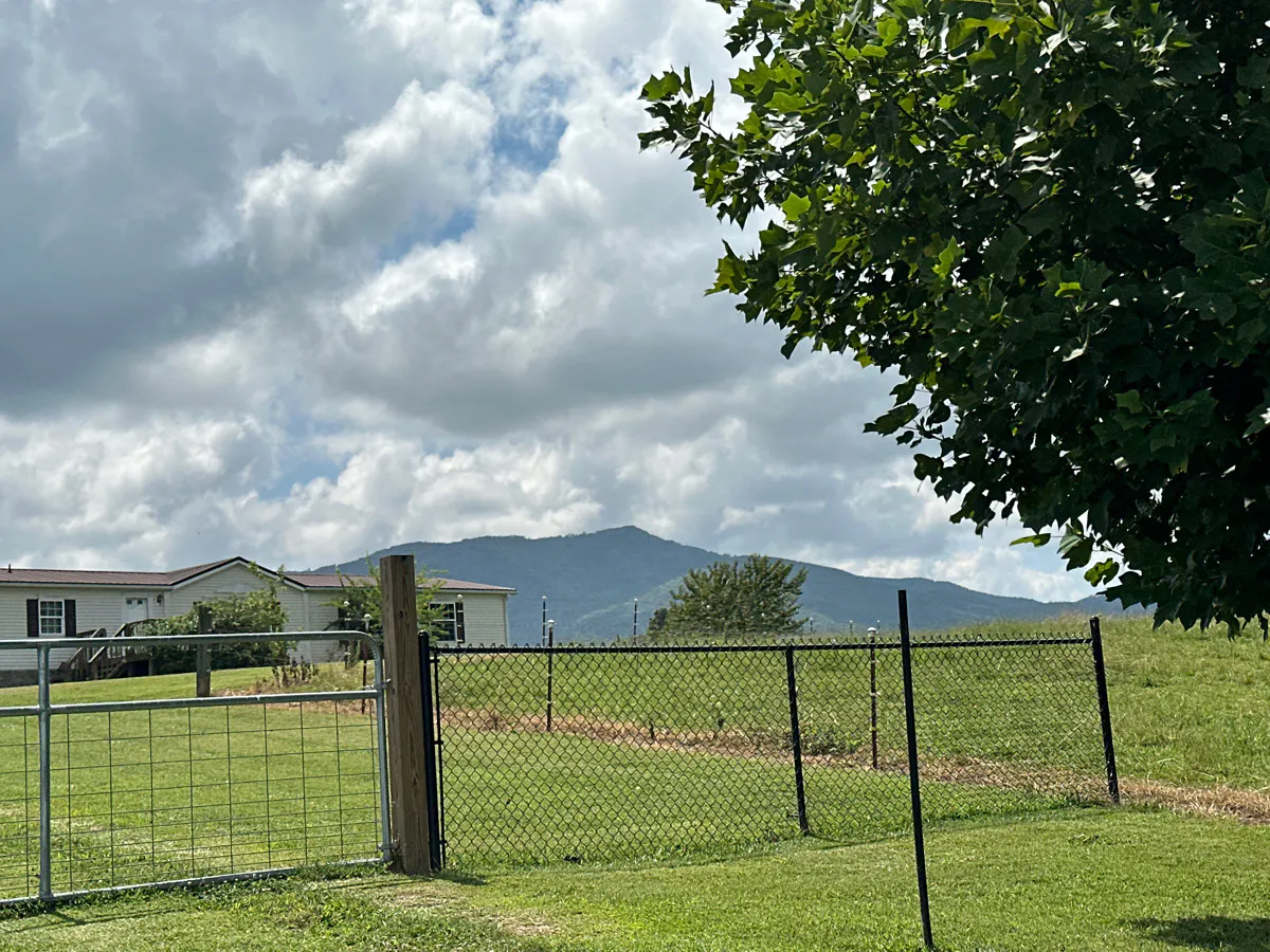 Cedar Creek Rd, Greeneville, TN 37743 #1