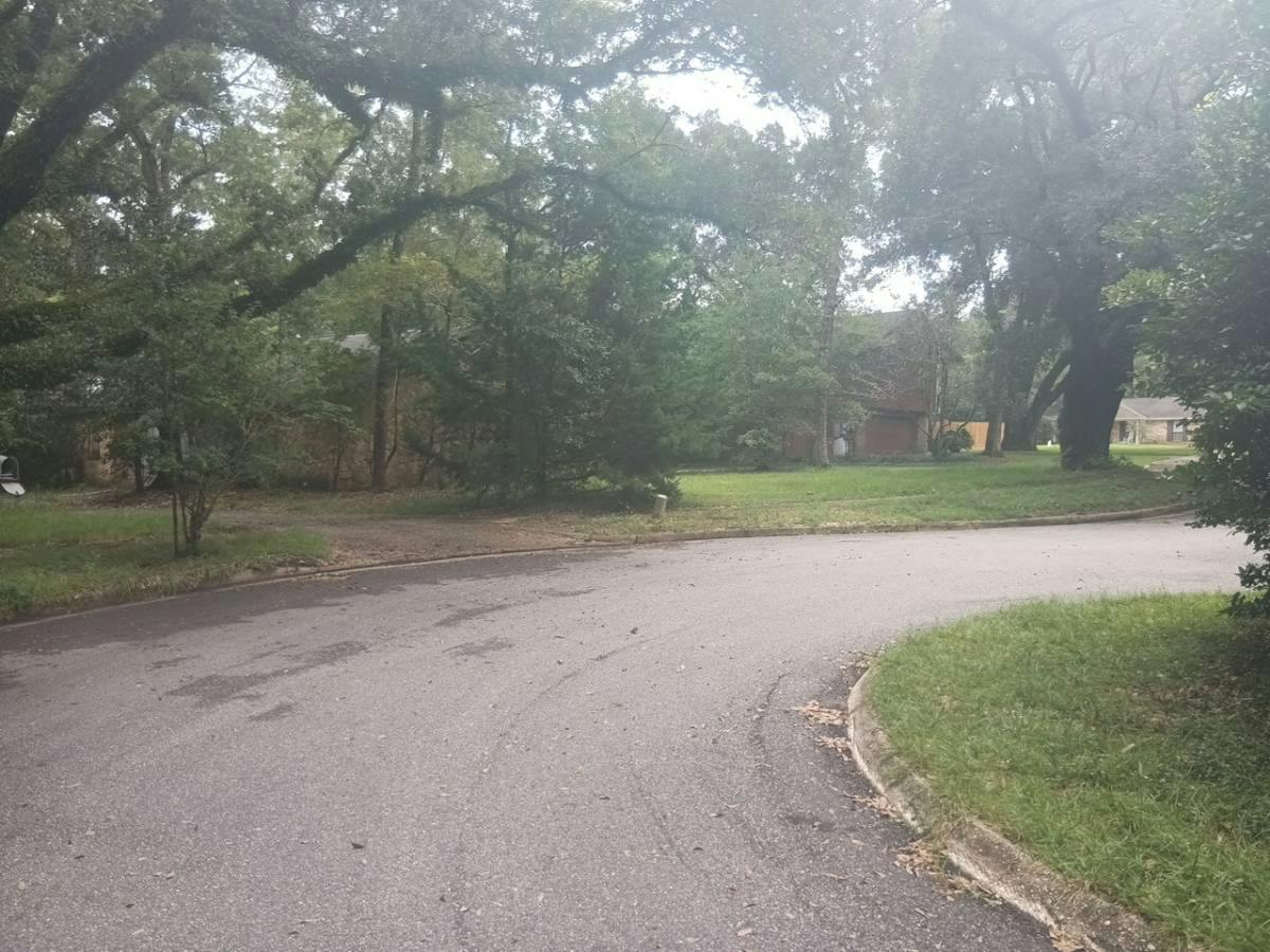 Oakleaf Ct, Mobile, AL 36609
