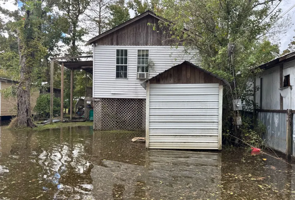 13065 Fox Street Maurepas, LA 70449, Livingston County