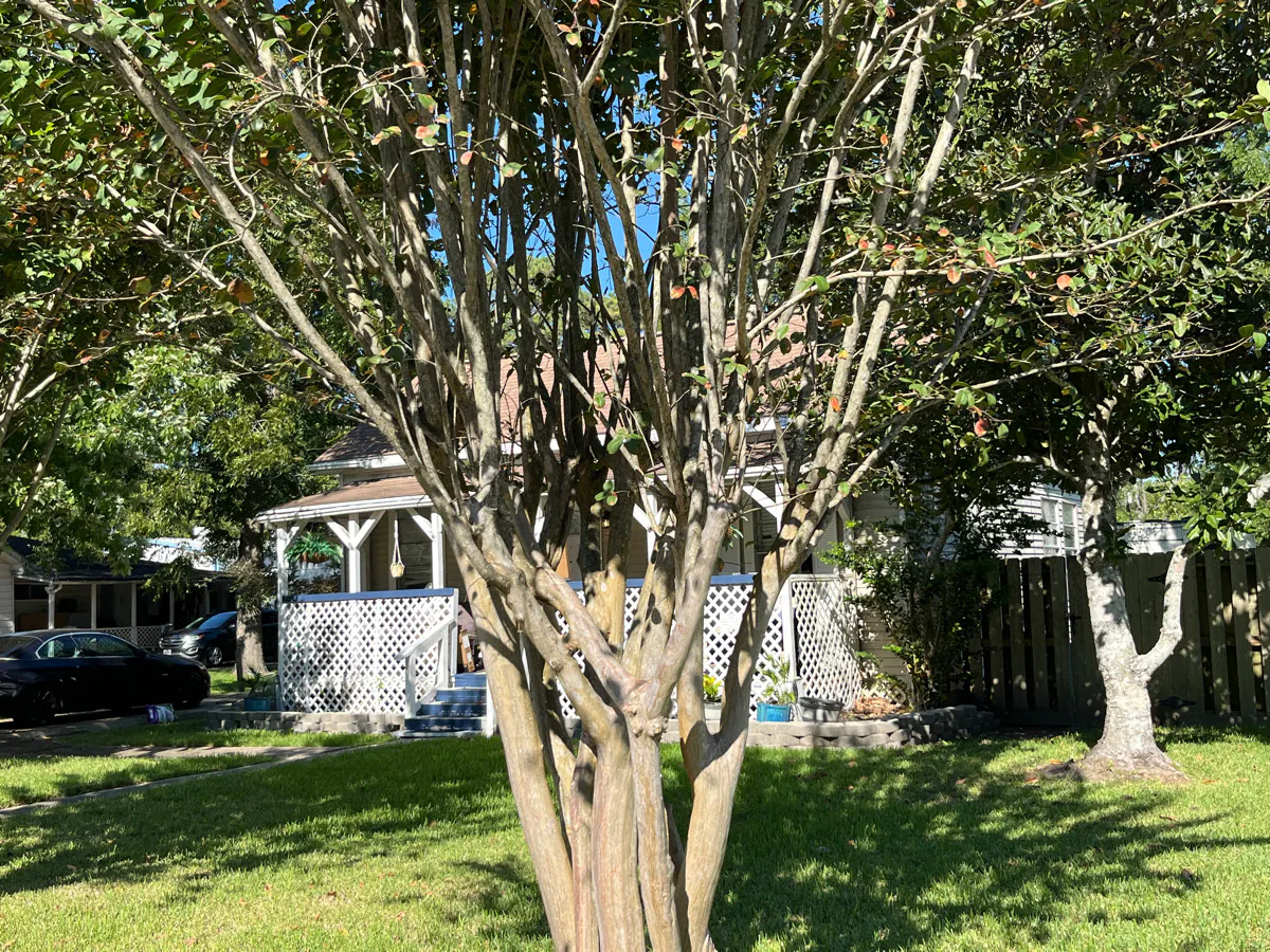 Deats Rd, Dickinson, TX 77539 #1