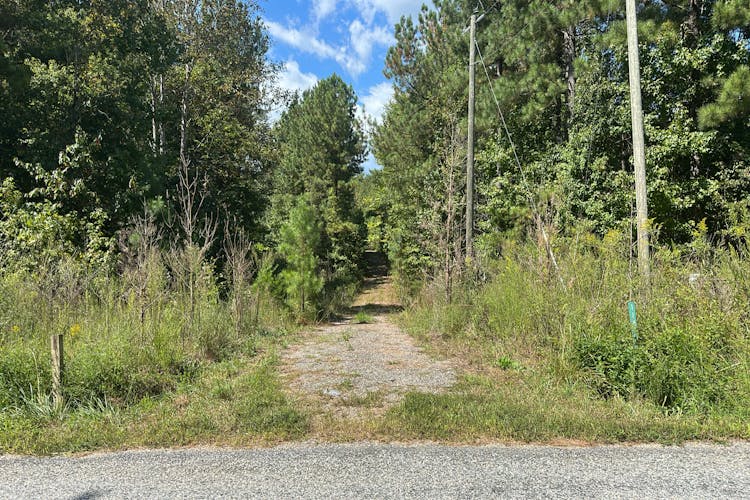 1147 Miller Lake Rd Burkeville, VA 23922, Prince Edward County