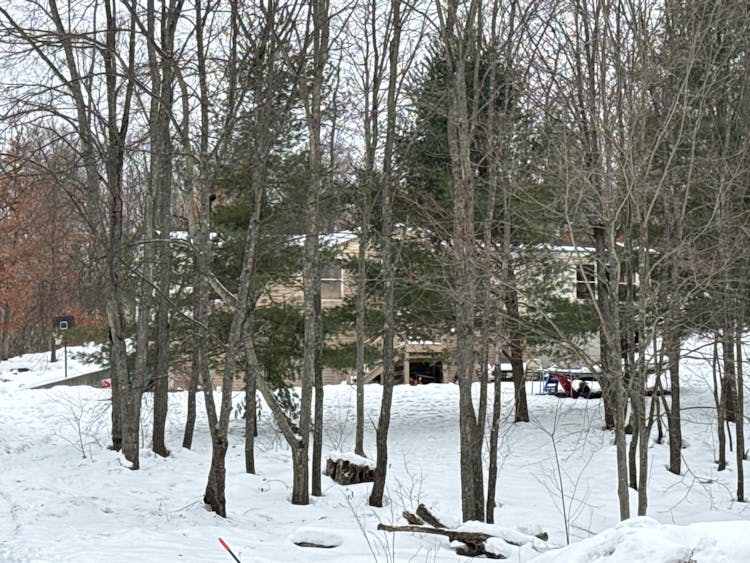 353 South Wildwood Trail Reed City, MI 49677, Osceola County