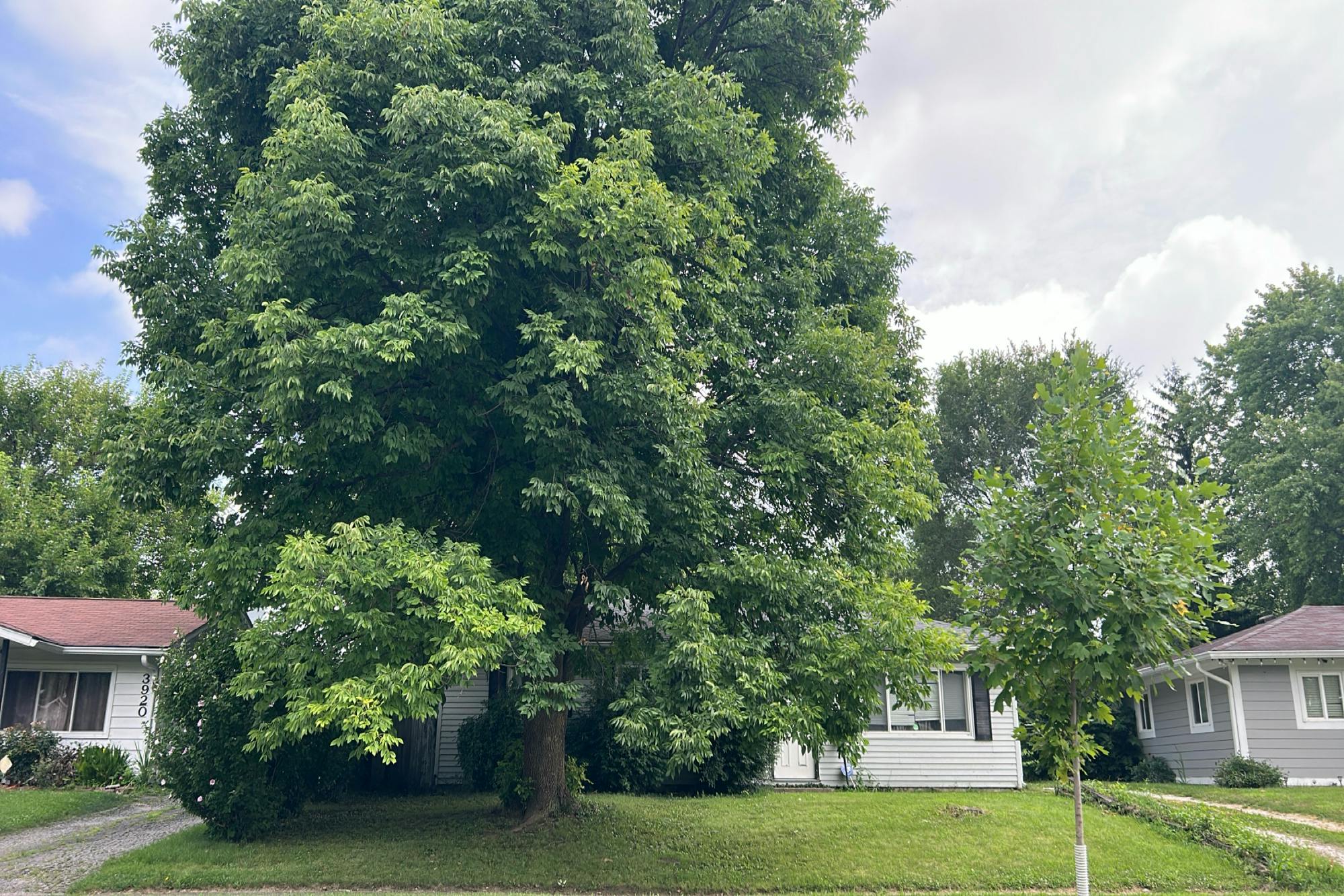 Thrush Dr, Indianapolis, IN 46222