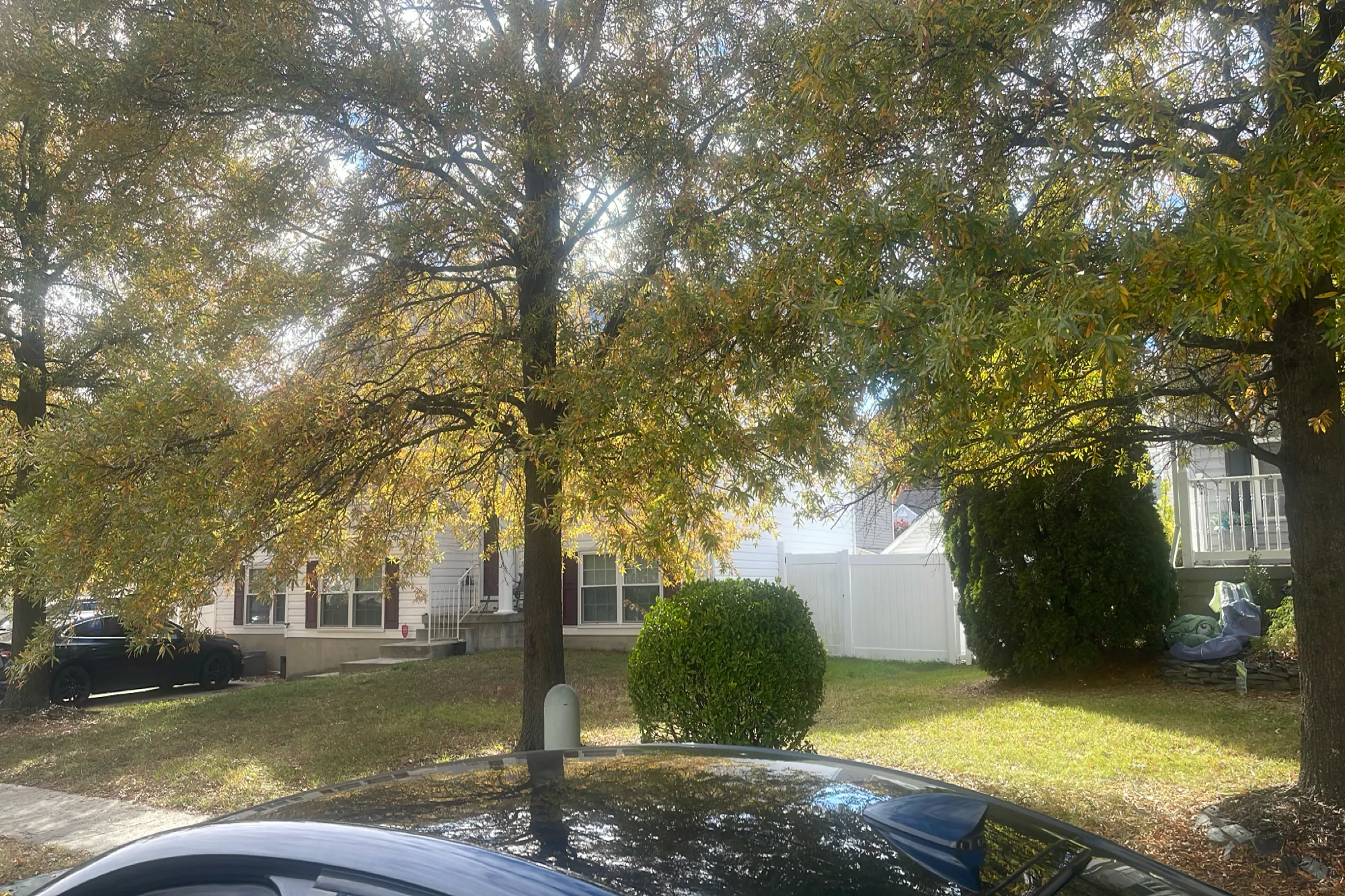 Carrollwood Rd, Middle River, MD 21220 #1