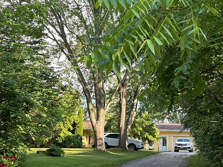 20525 Ridgeview Lane Marengo, IL 60152, McHenry County