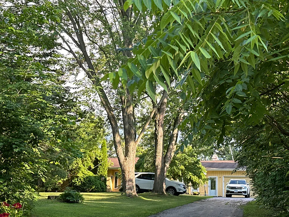 20525 Ridgeview Lane Marengo, IL 60152, McHenry County