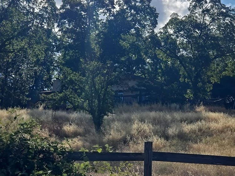 22495 Hidden Ranch Rd Auburn, CA 95602, Nevada County