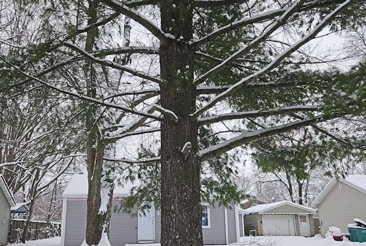 227 Midway Dr New Castle, IN 47362-1271, Henry County