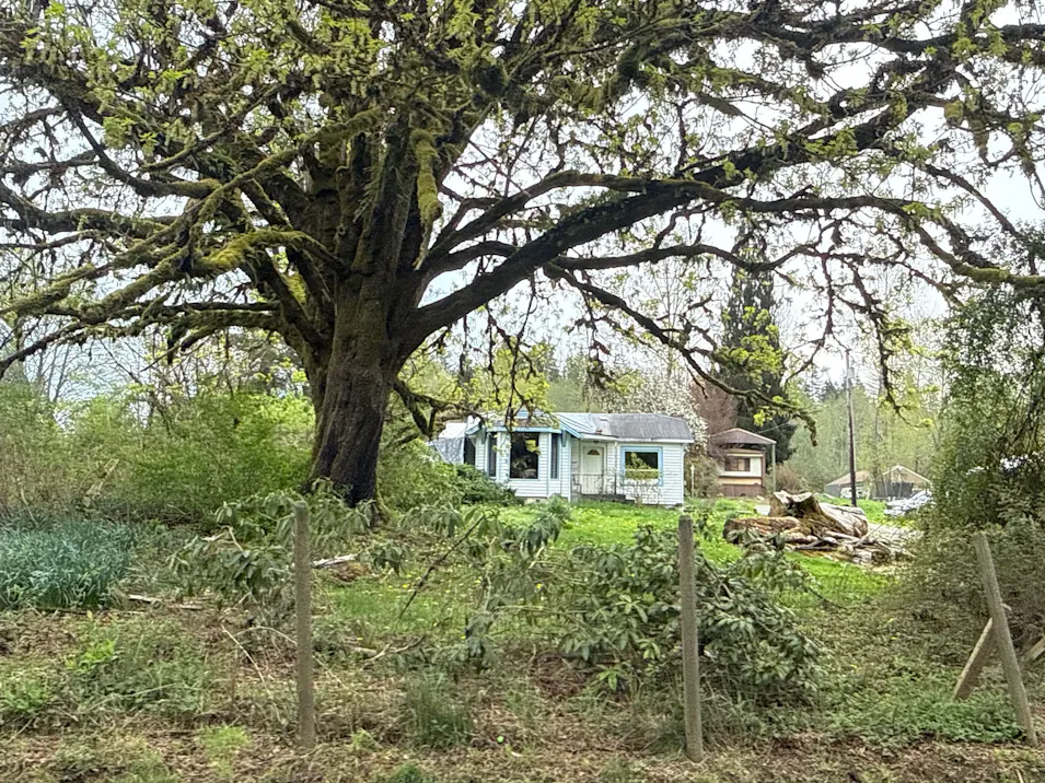 7229 Robe Menzel Road Granite Falls, WA 98252, Snohomish County