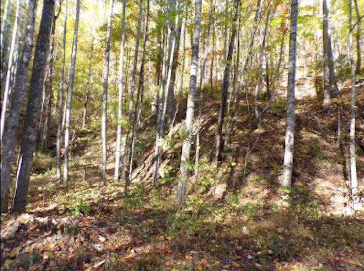 Lot #388 Grey Rock Lake Lure, NC 28746, Rutherford County