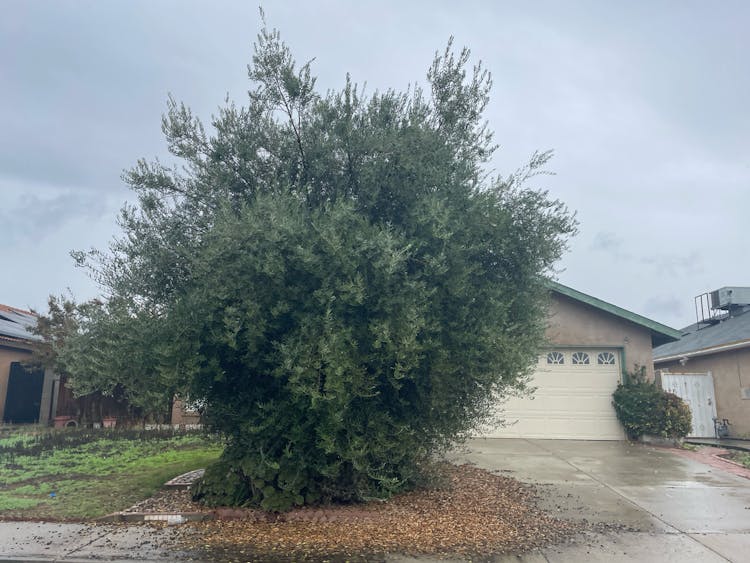 2318 Morningside Way Delano, CA 93215, Kern County